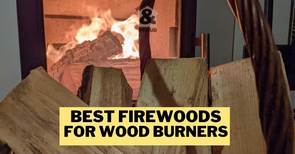 4 best firewoods to burn in the UK Easy Guide House and Proud