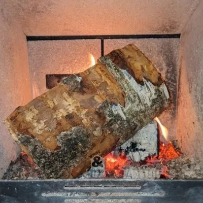 The best firewood - birch log in a wood burning stove