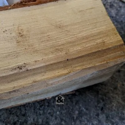 Damp log that shows a darker grain pattern which will make it difficult to burn